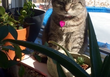 Zosia Von Flippenfloppen