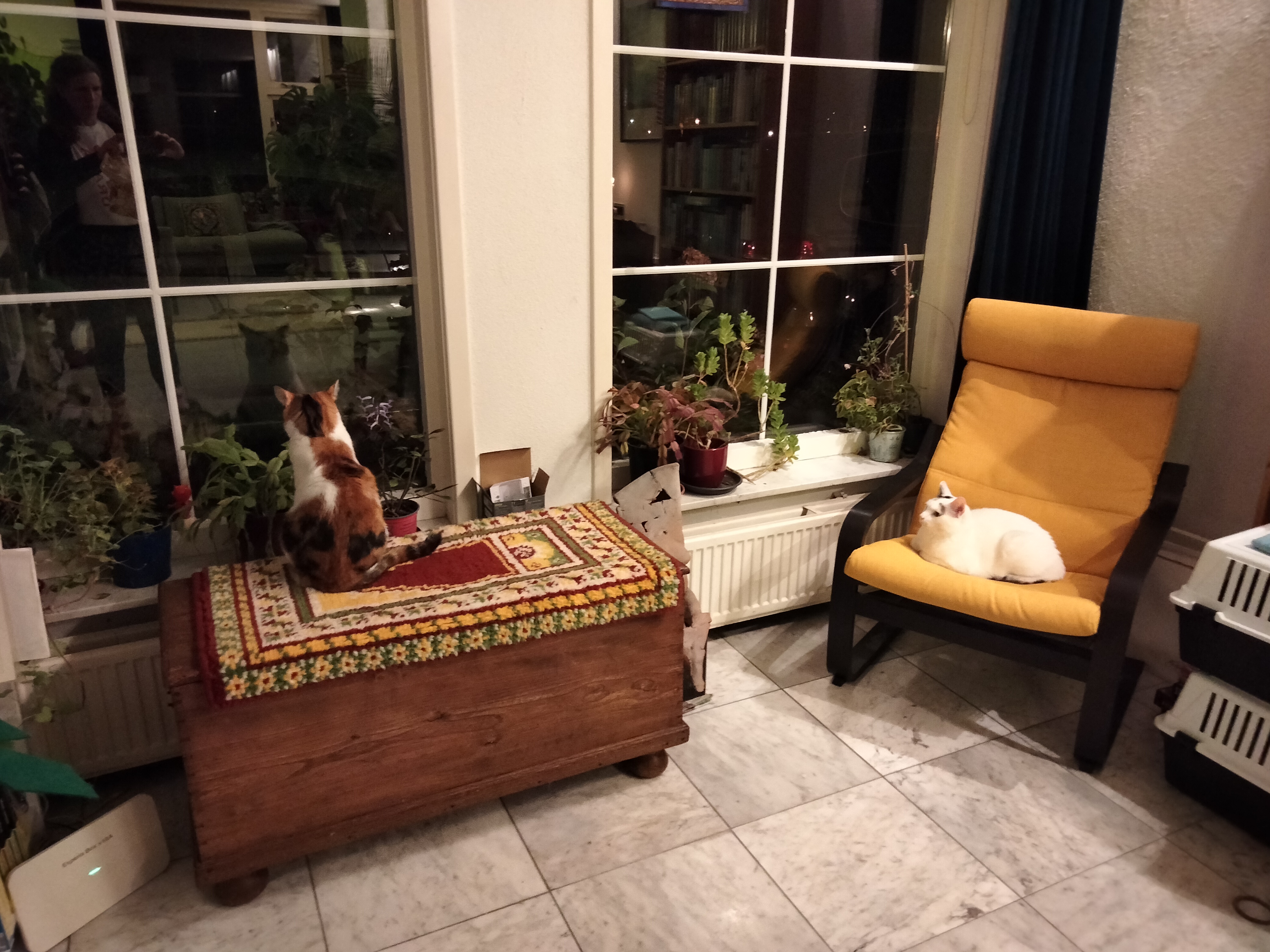 image-1