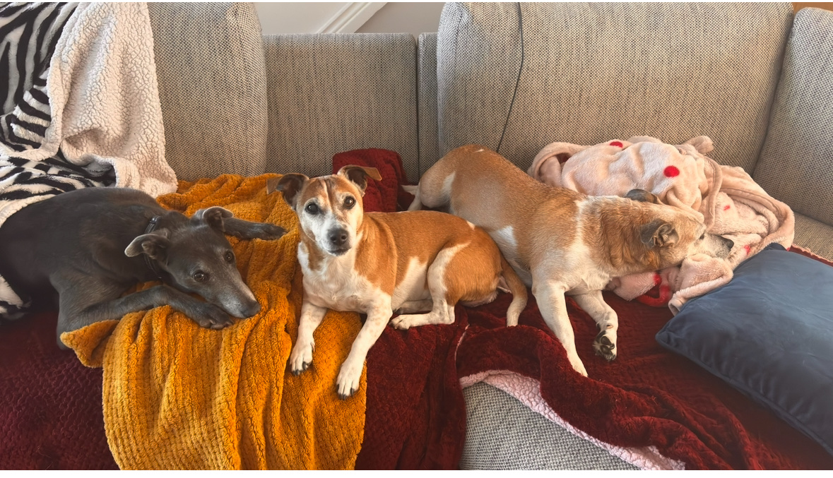 image-14