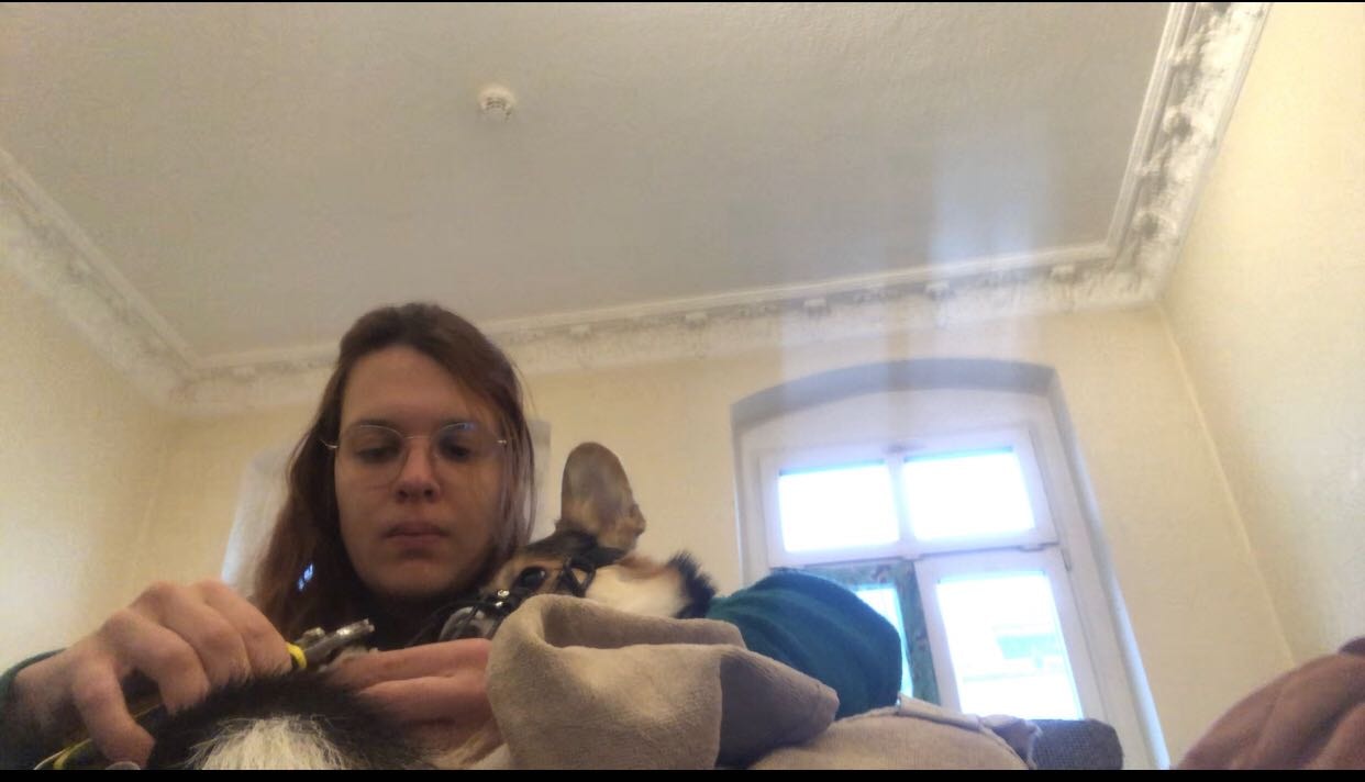 image-2