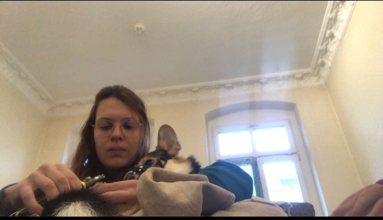 image-2
