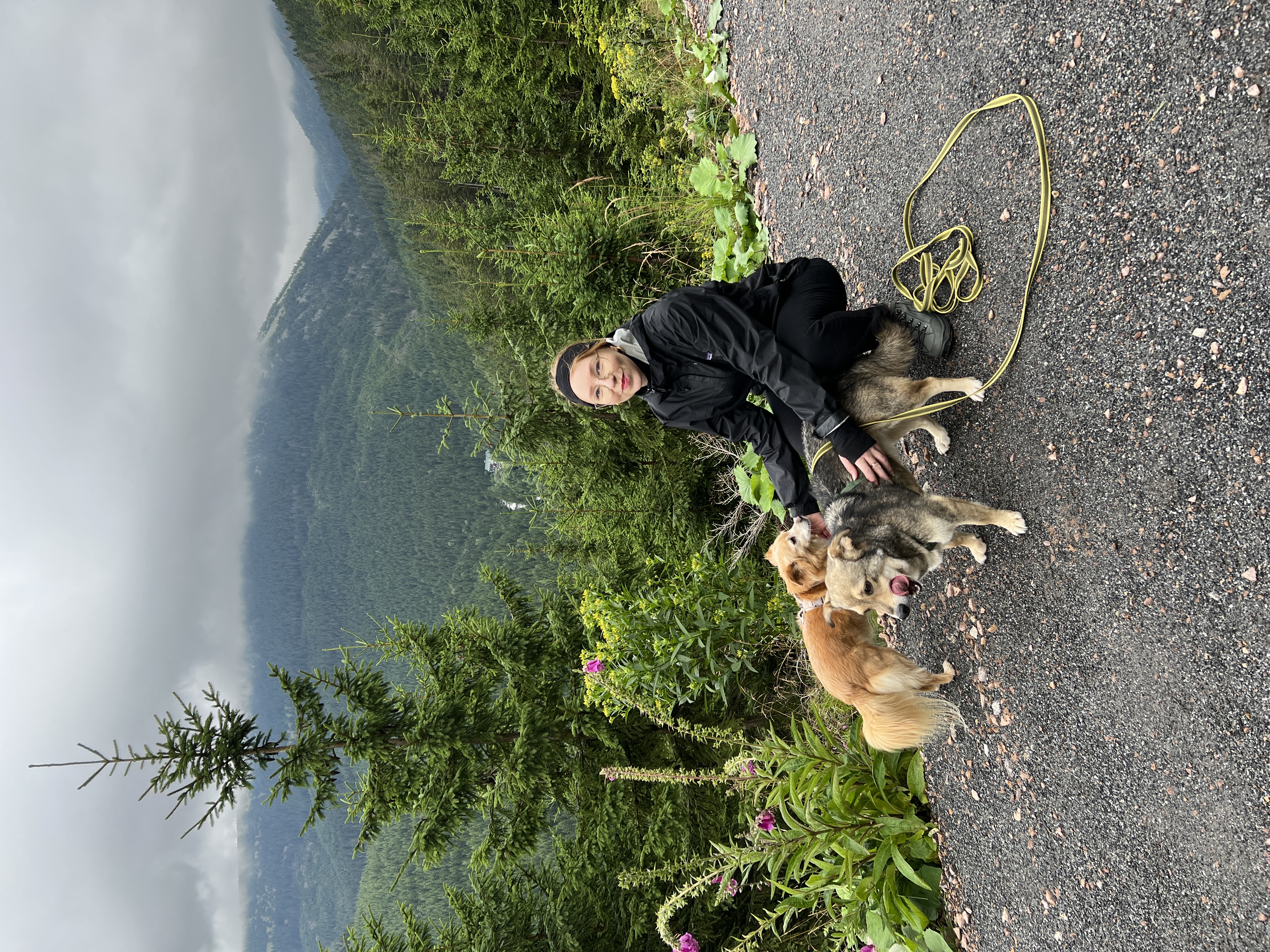 image-9