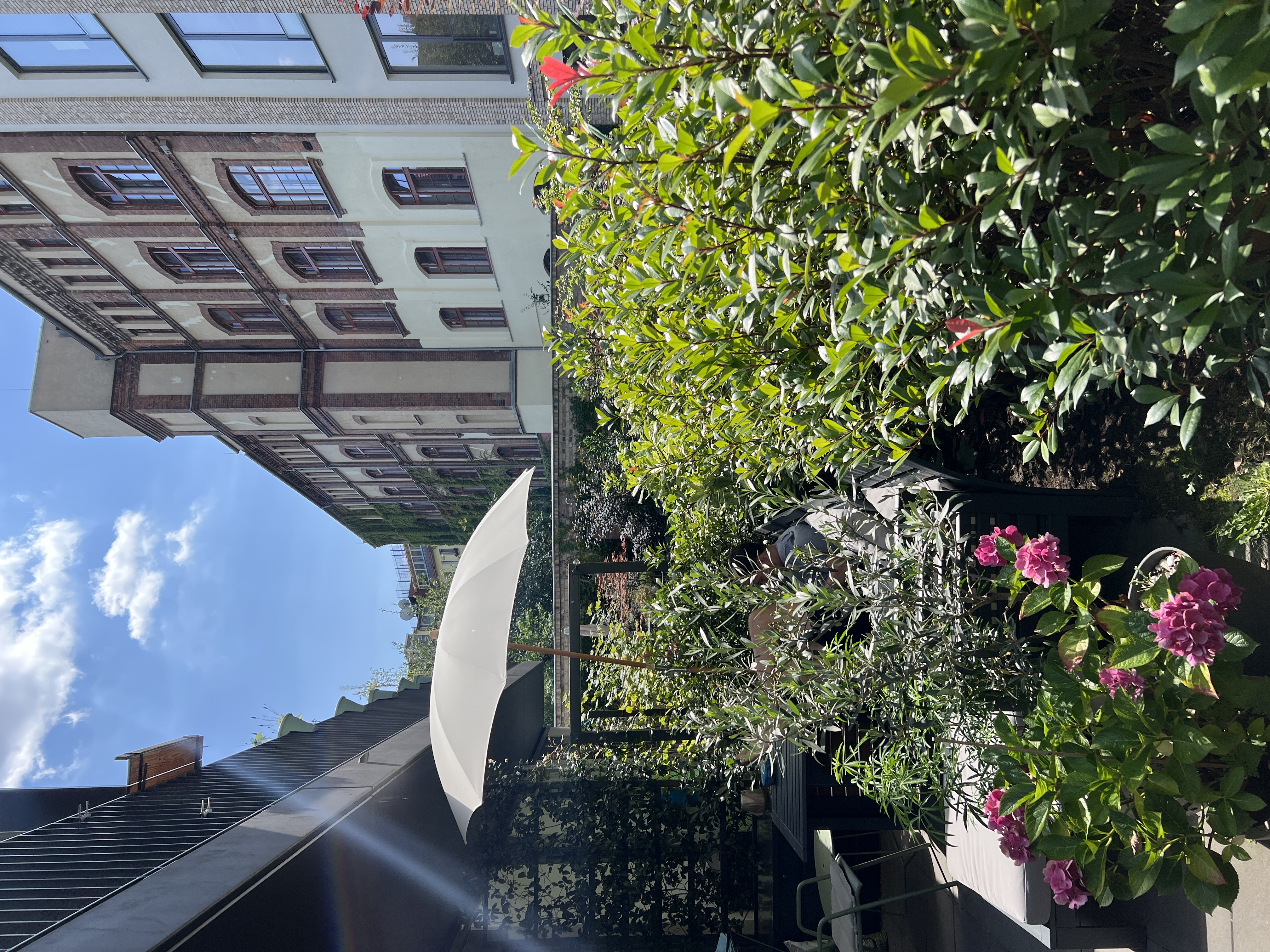 image-14