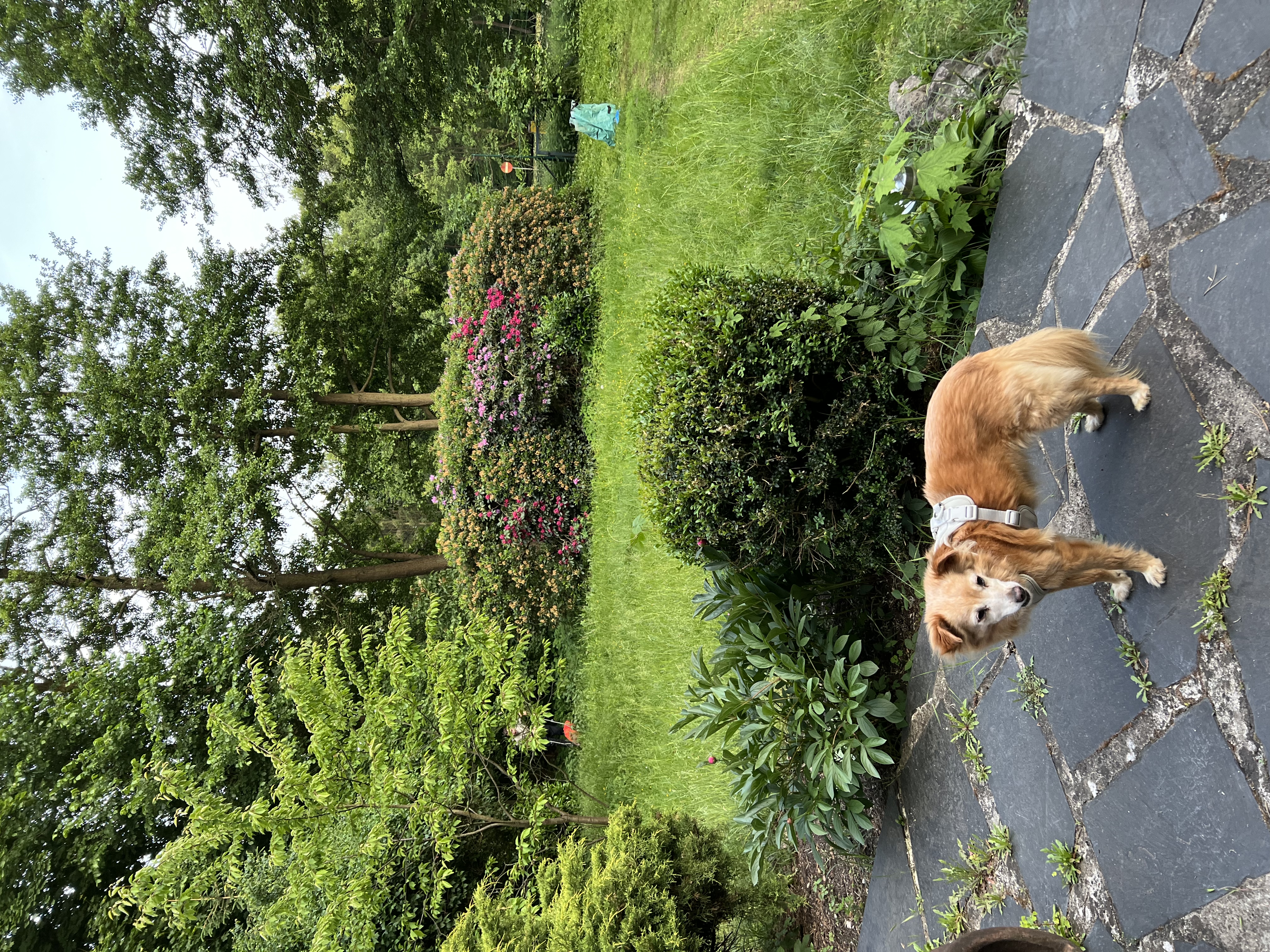 image-17