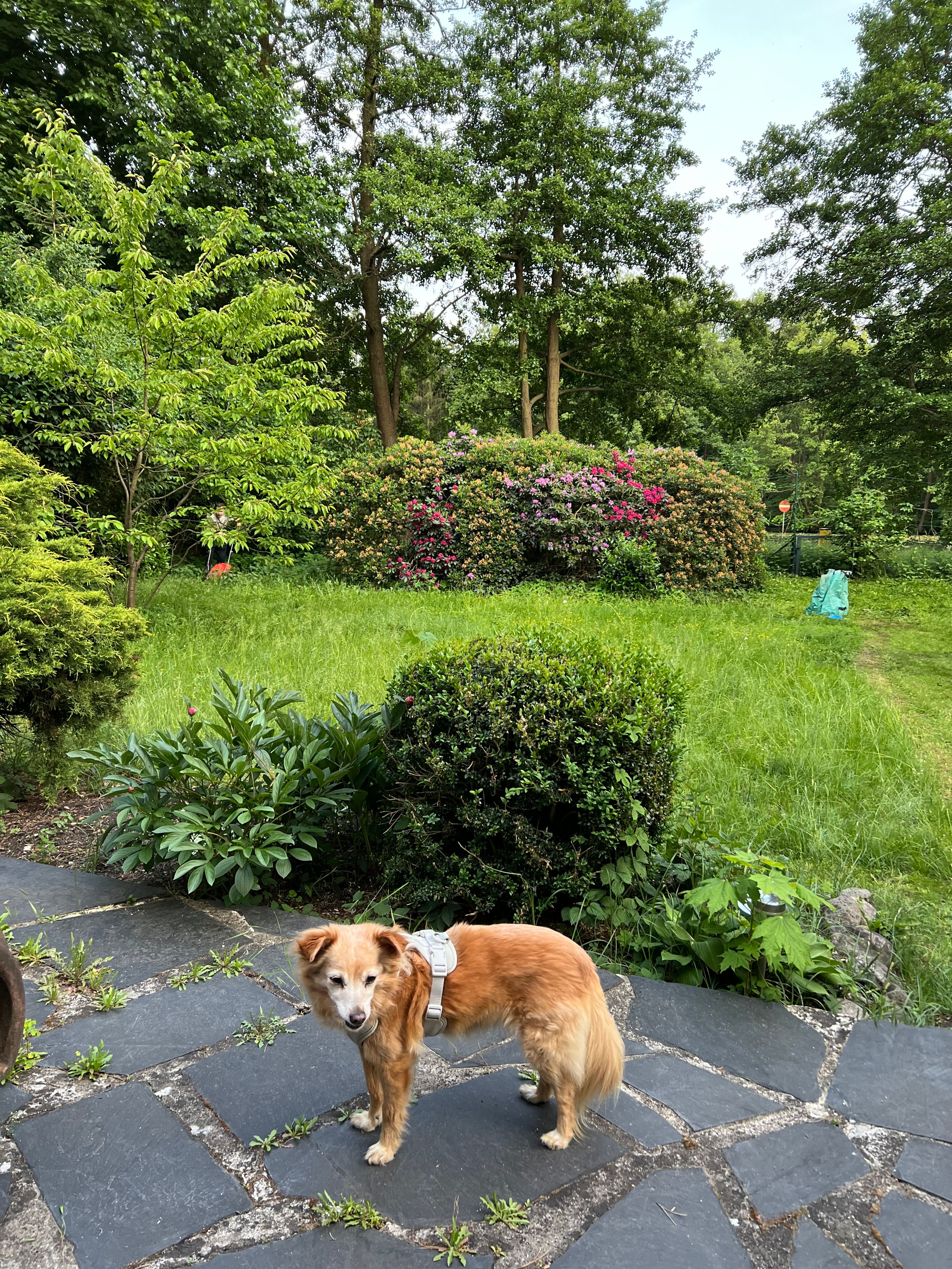 image-17