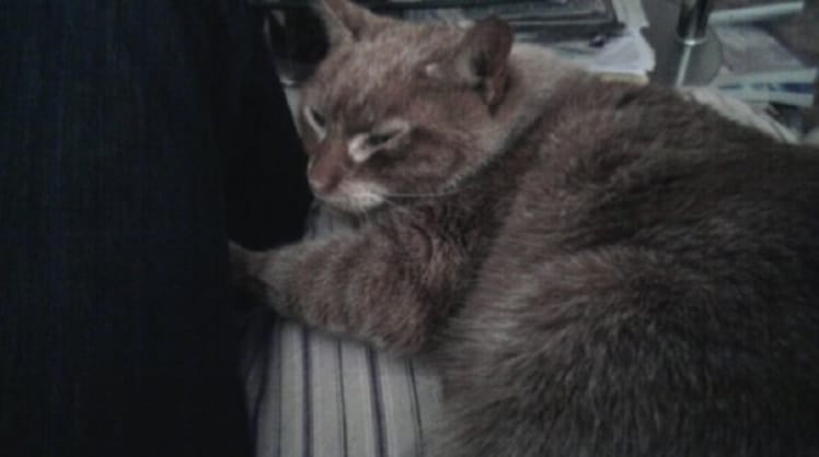 image-5