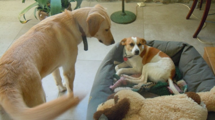 image-5
