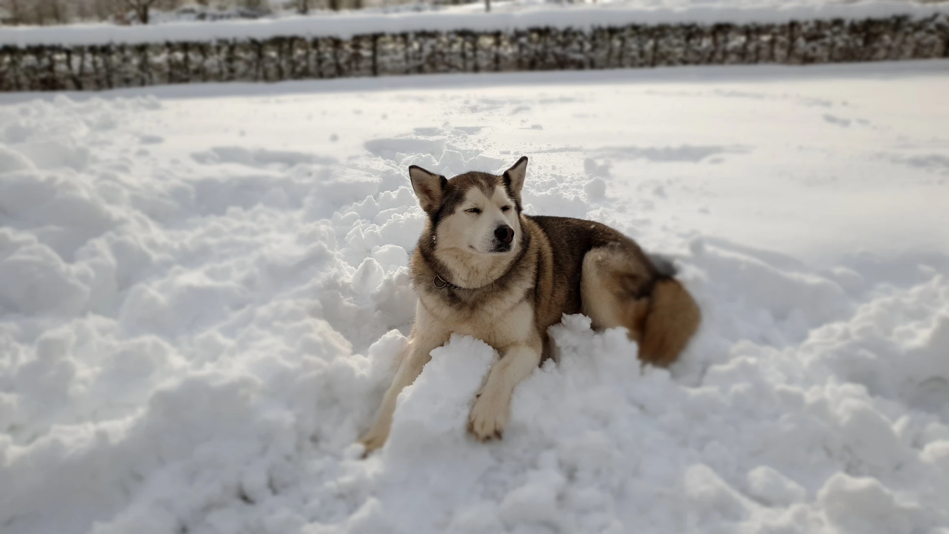 image-9