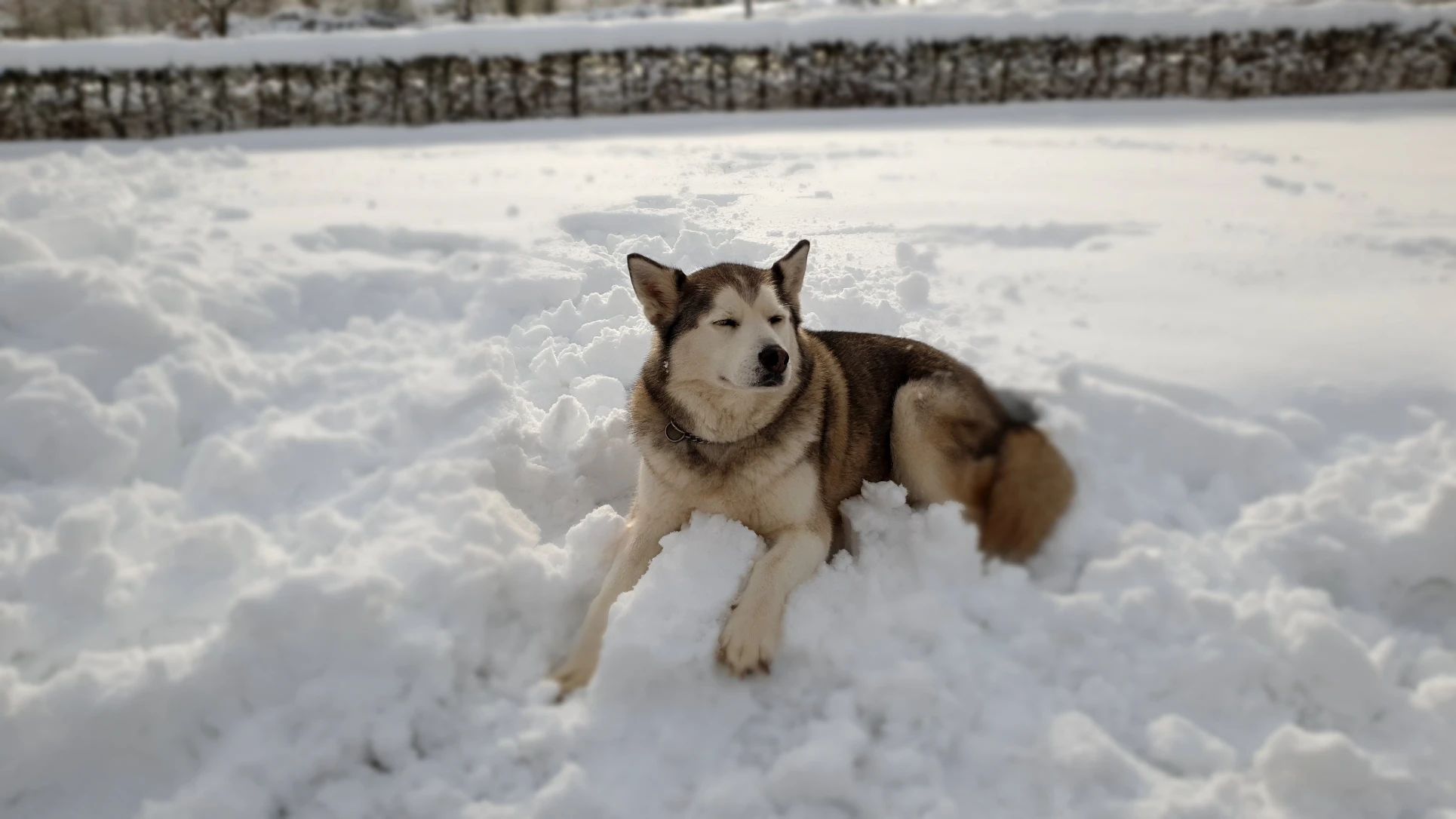 image-9