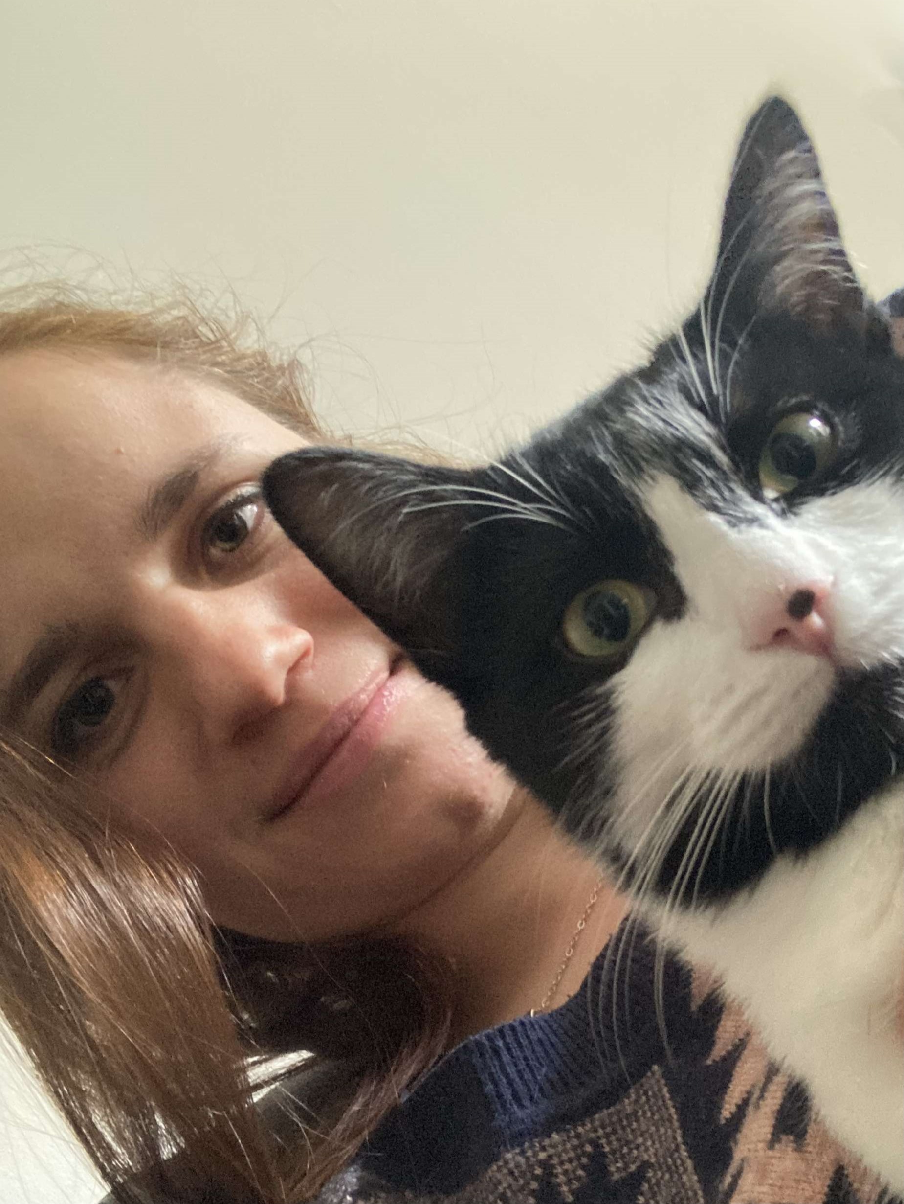 image-2