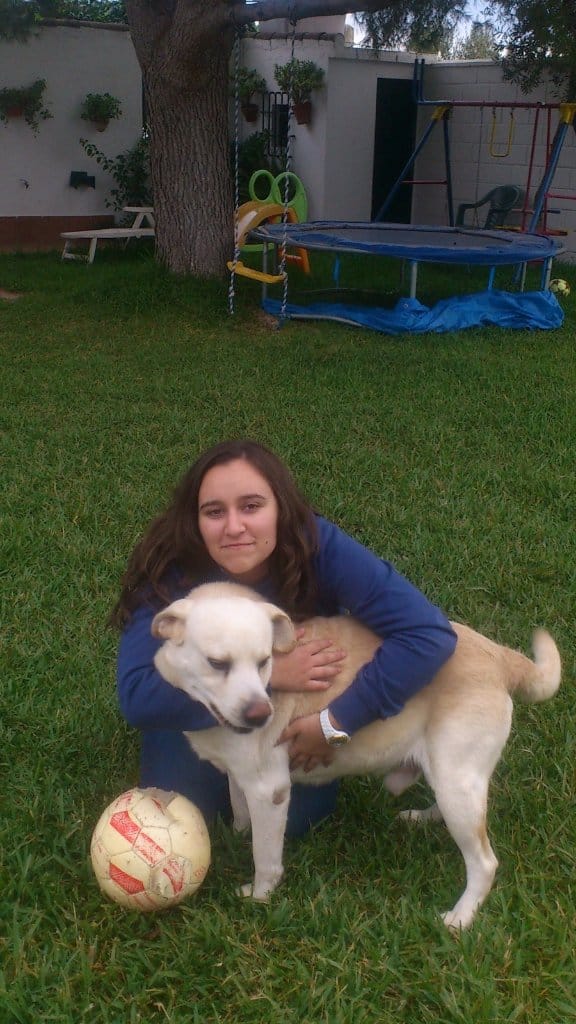 image-9