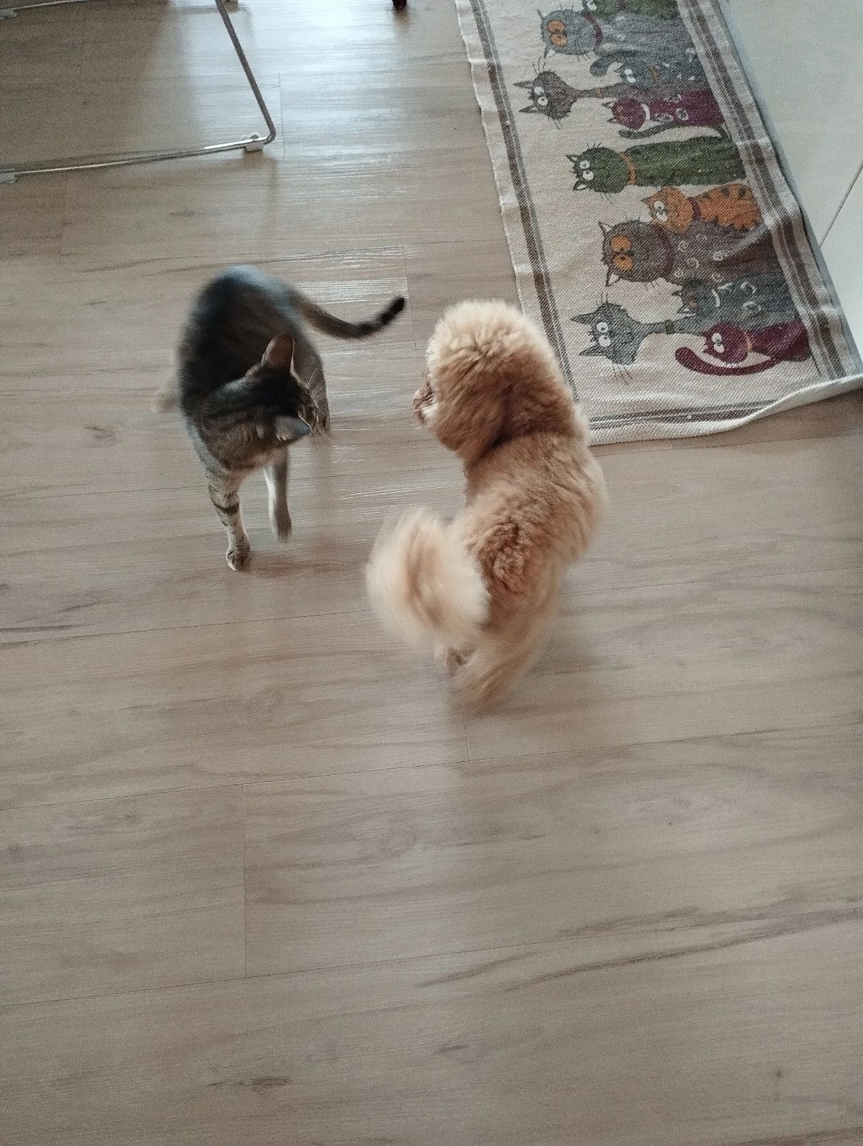 image-7