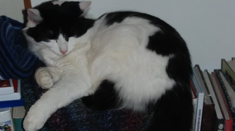 image-5