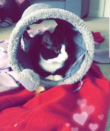image-8