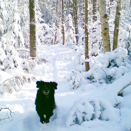 image-9