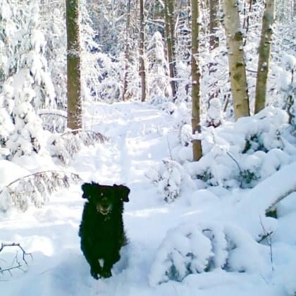 image-9
