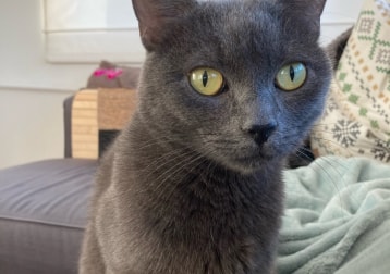 Milka