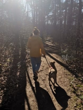 image-0