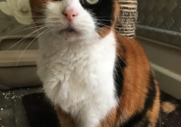 Molly