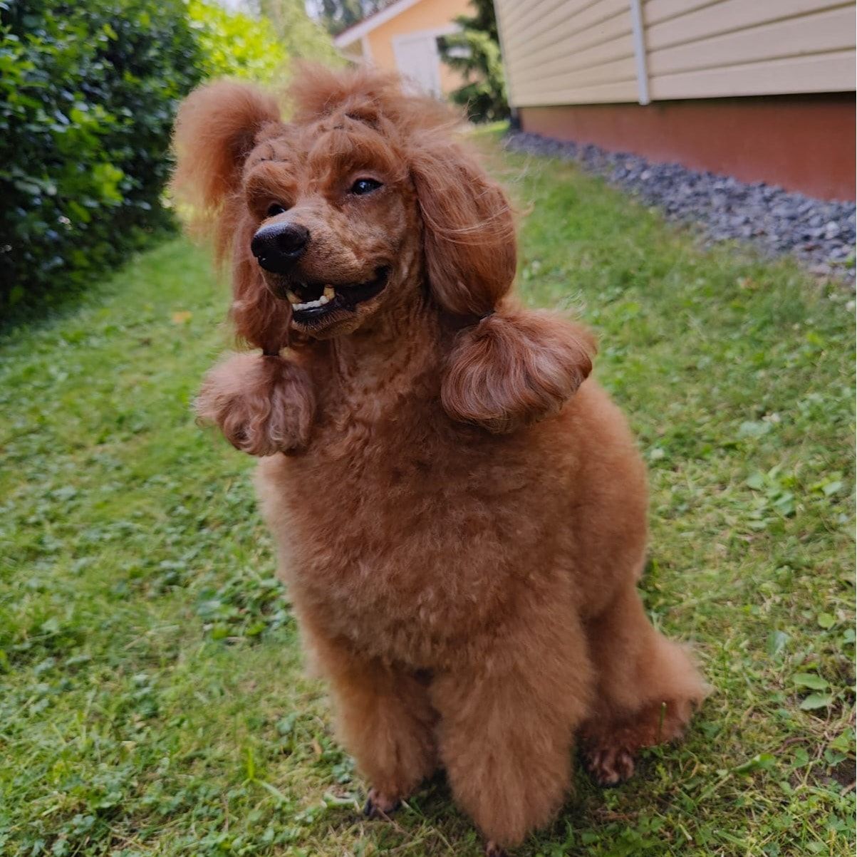 Klebo