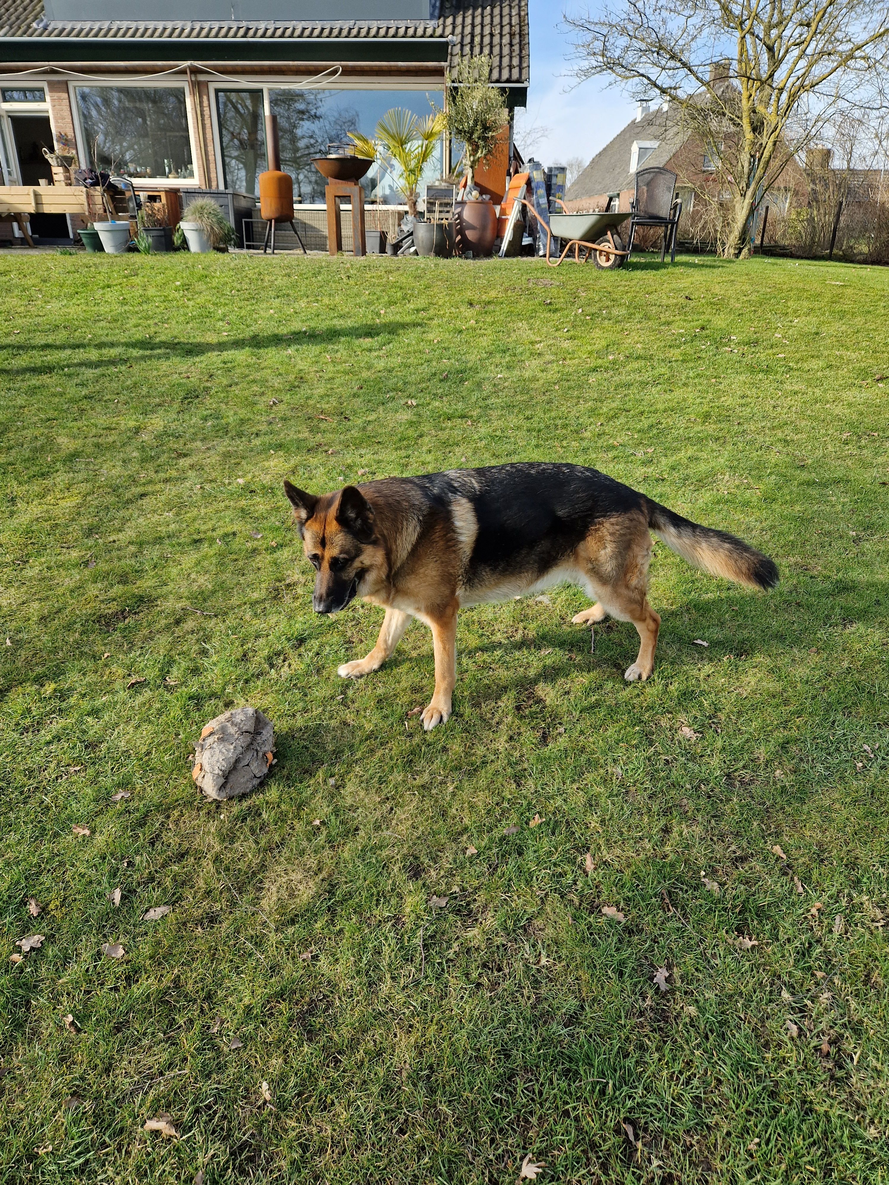 image-19
