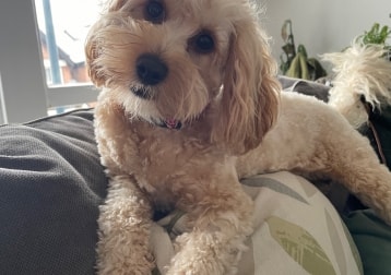 Ruby