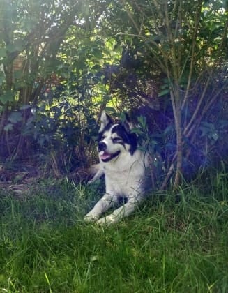 image-5