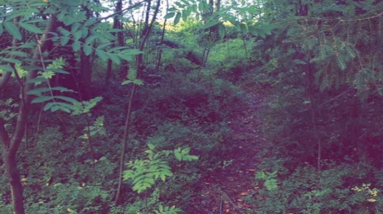image-4
