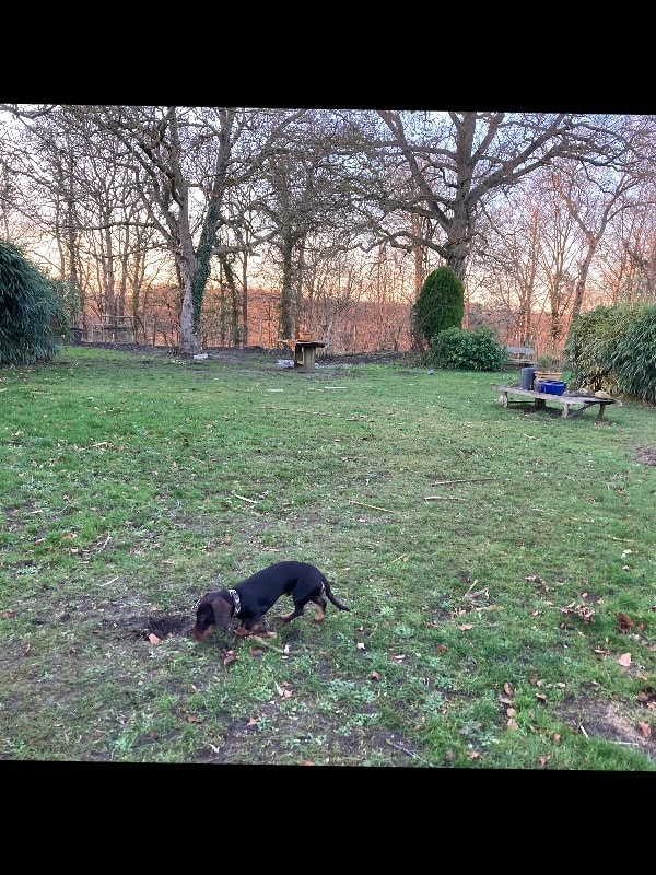 image-17