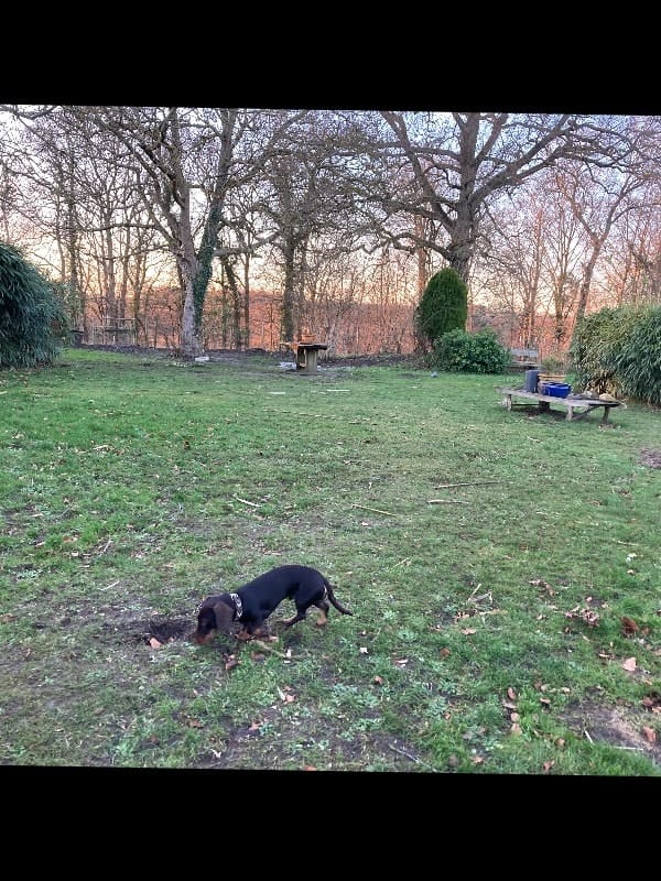 image-17