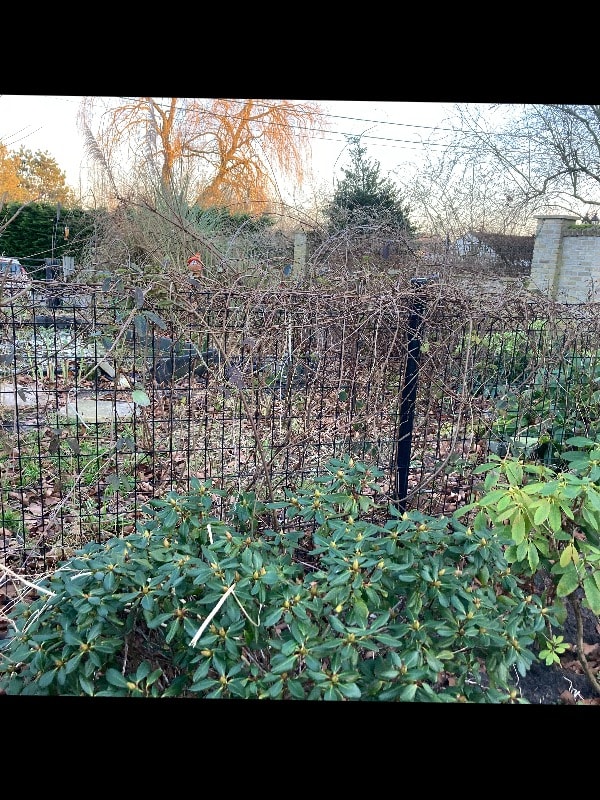 image-18
