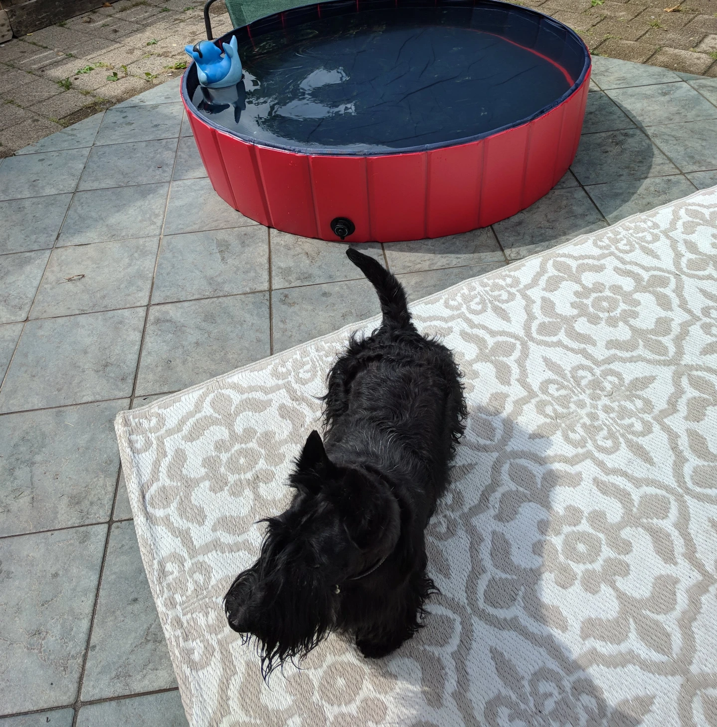 image-28