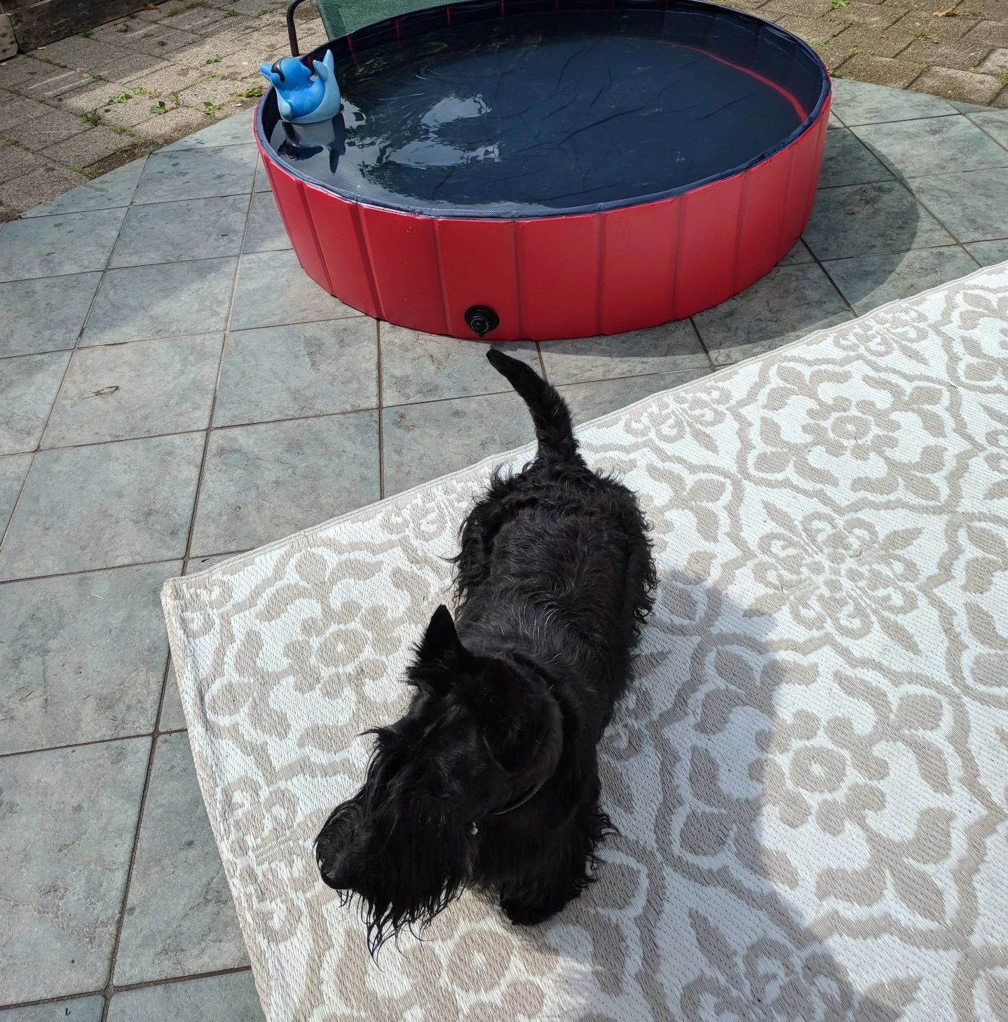 image-28