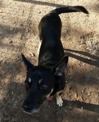 image-8