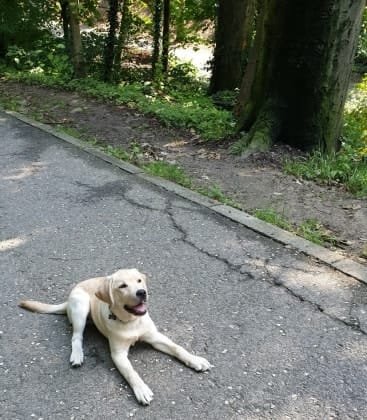 image-9