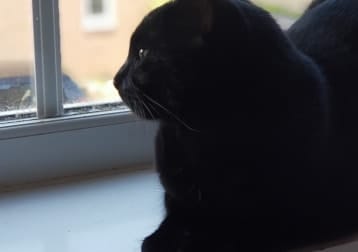 Percy
