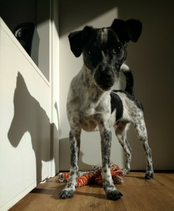 image-5