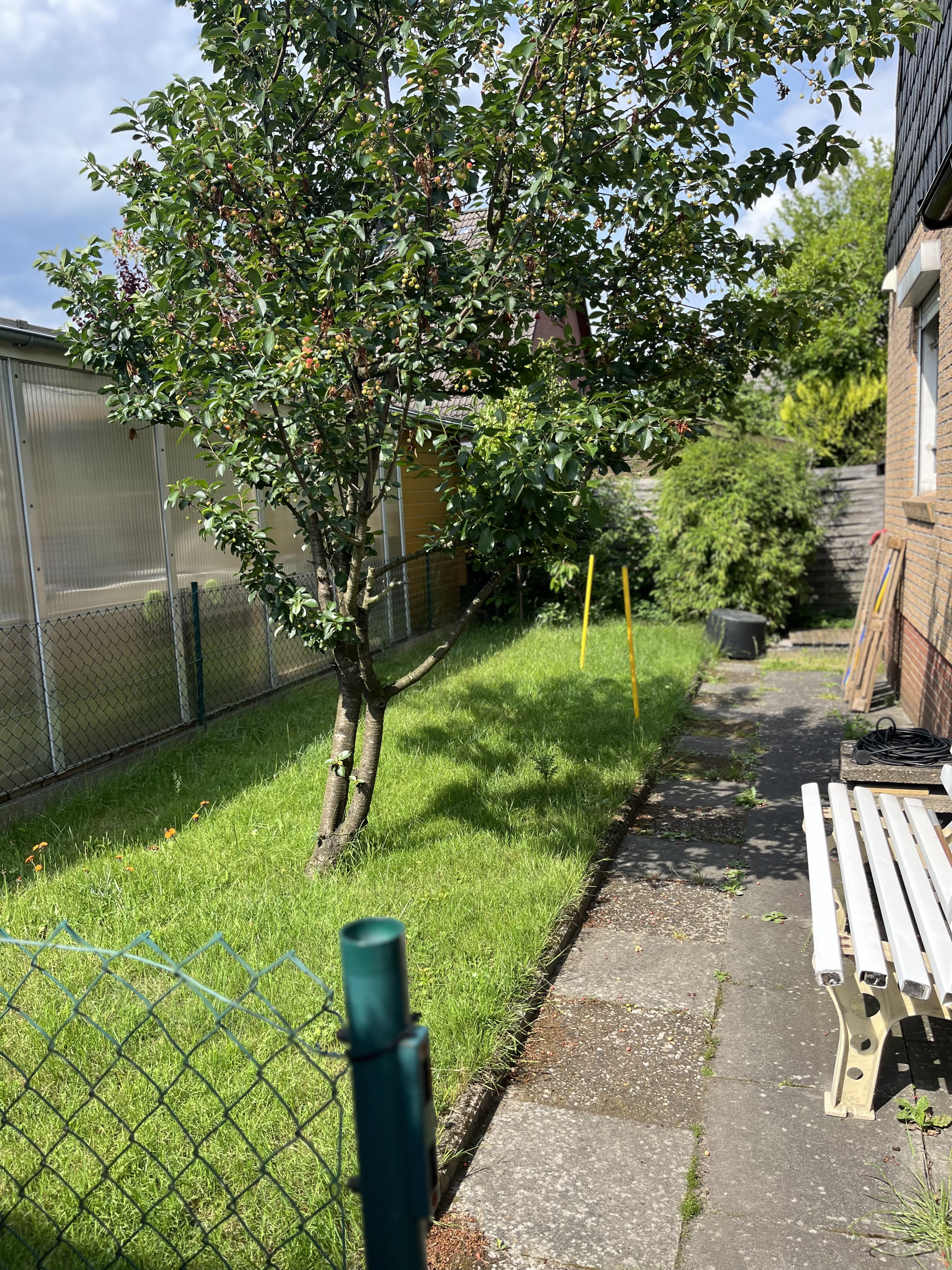 image-18