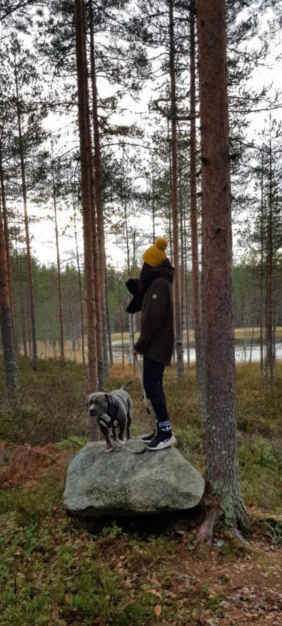 image-7