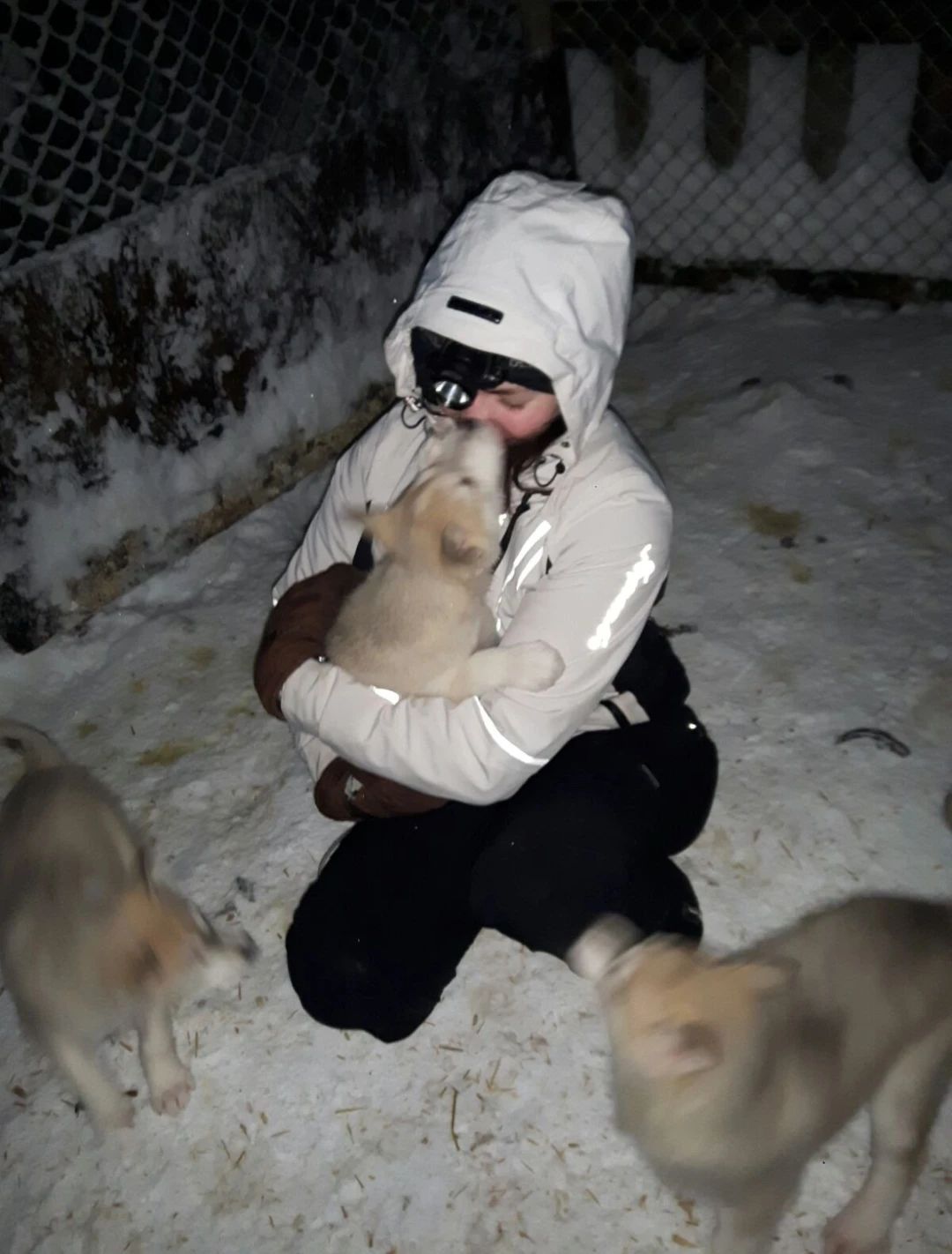 image-6