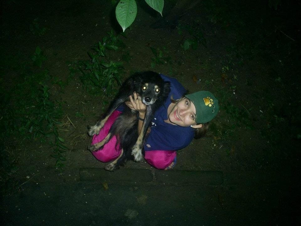 image-3