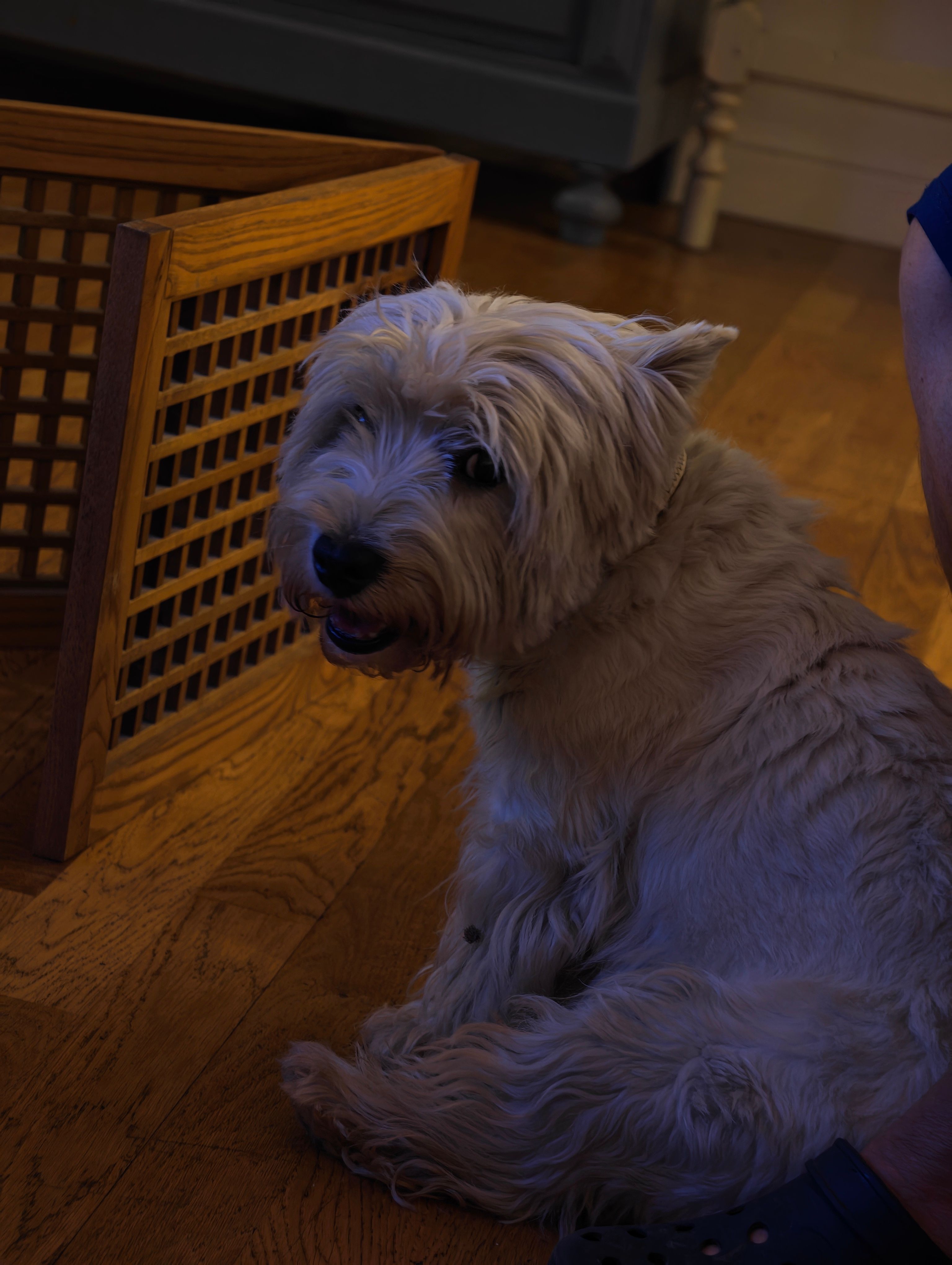 image-22