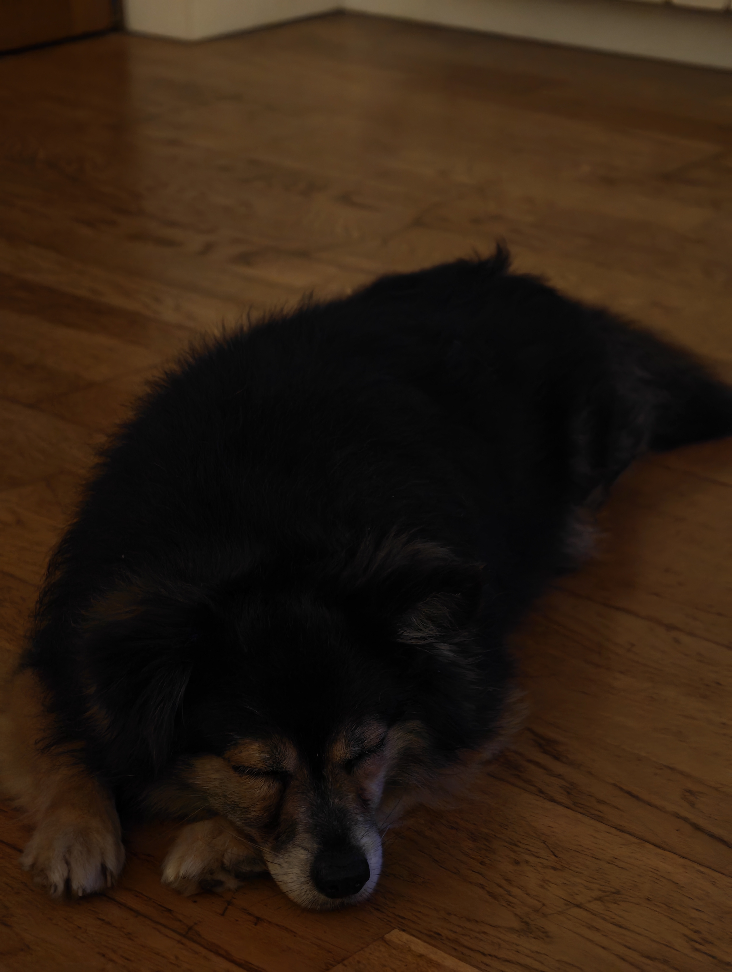 image-23