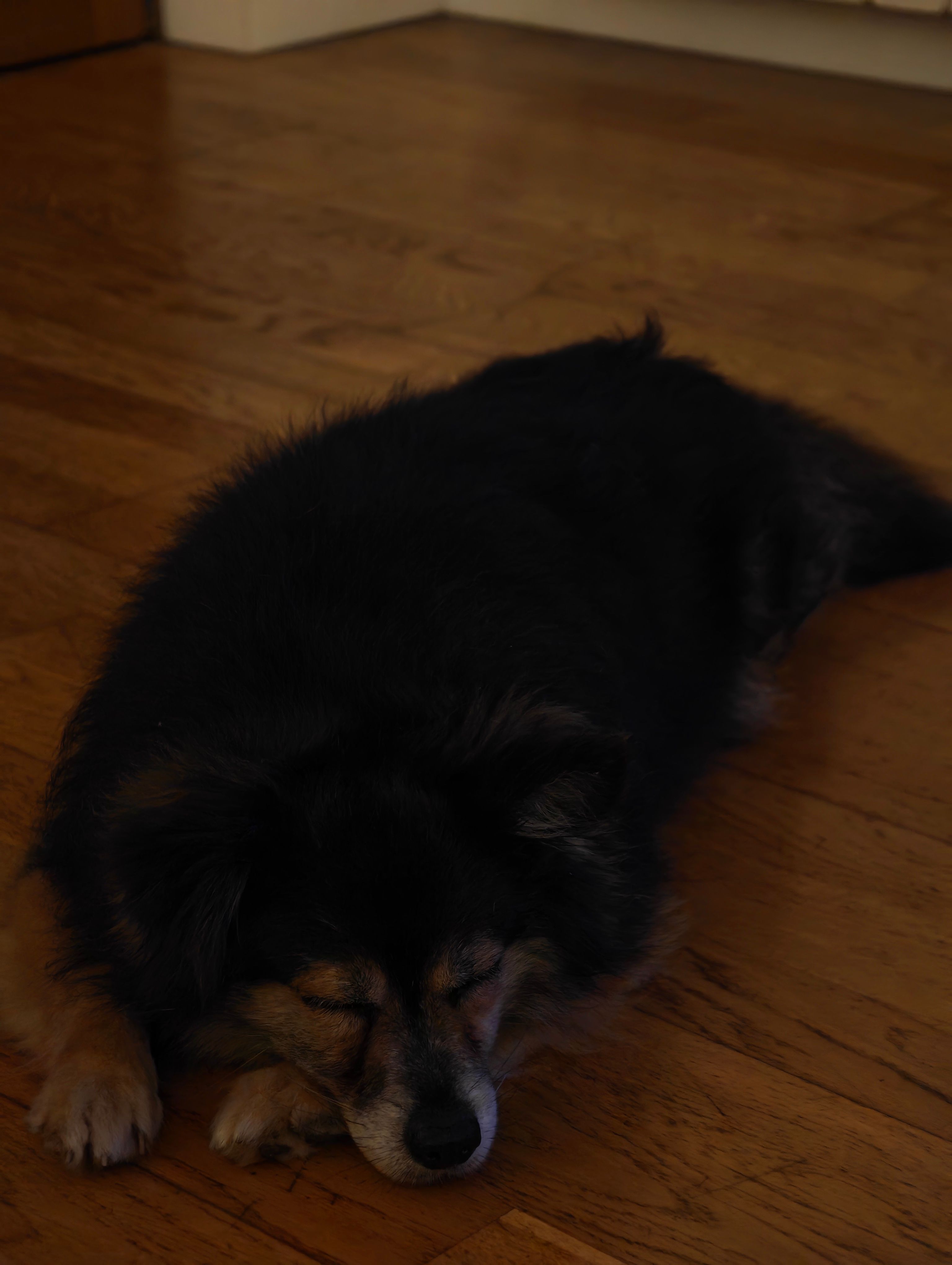 image-23