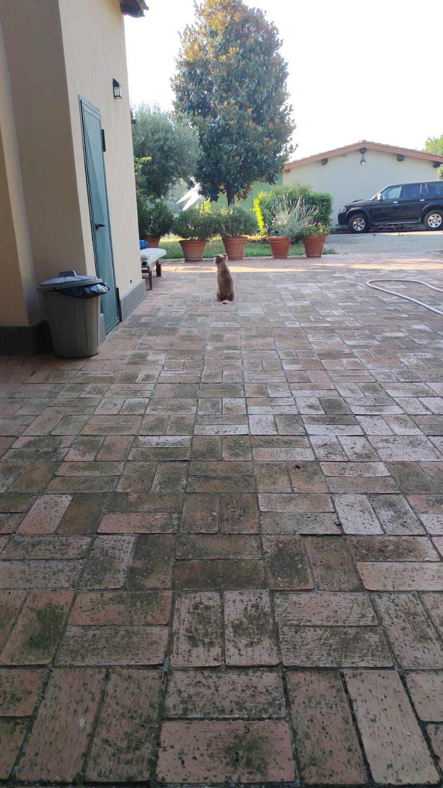 image-16