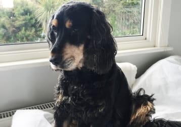 Marley