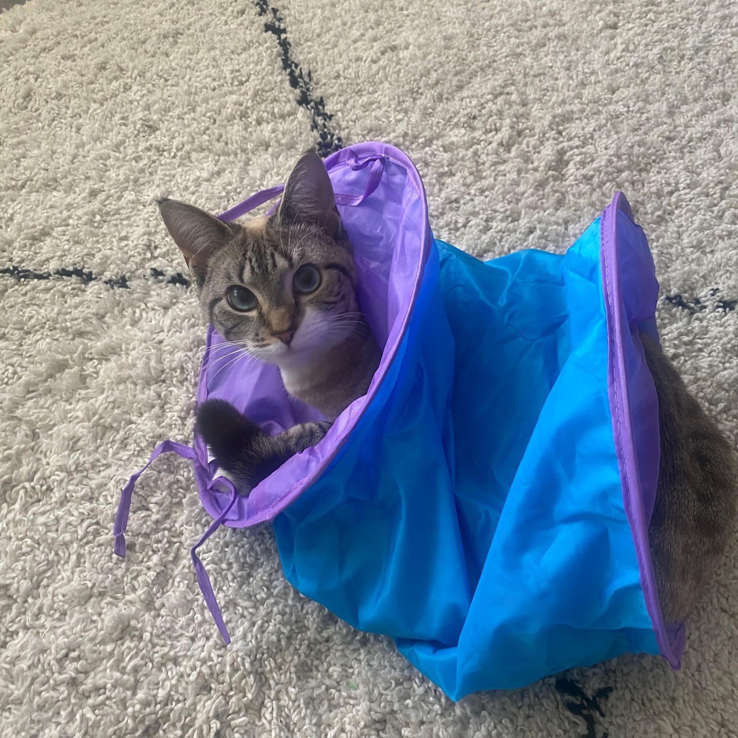 Nala