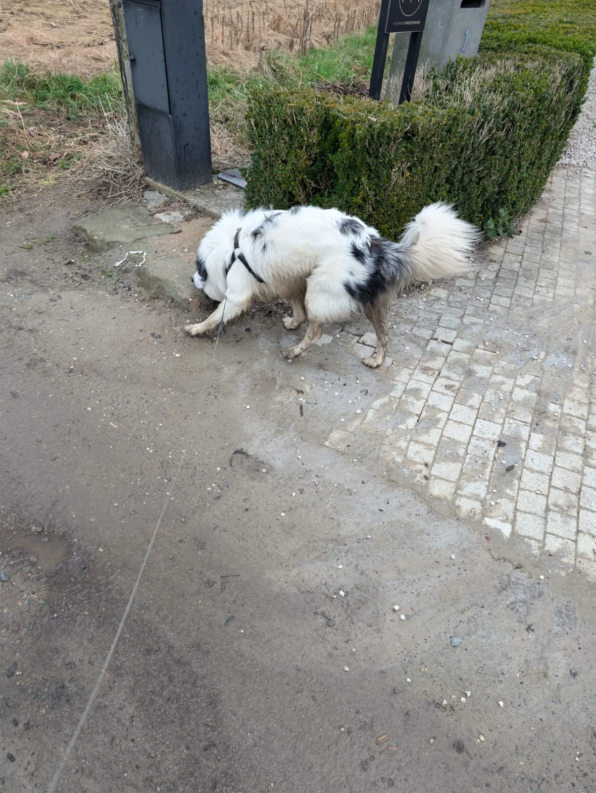 image-13