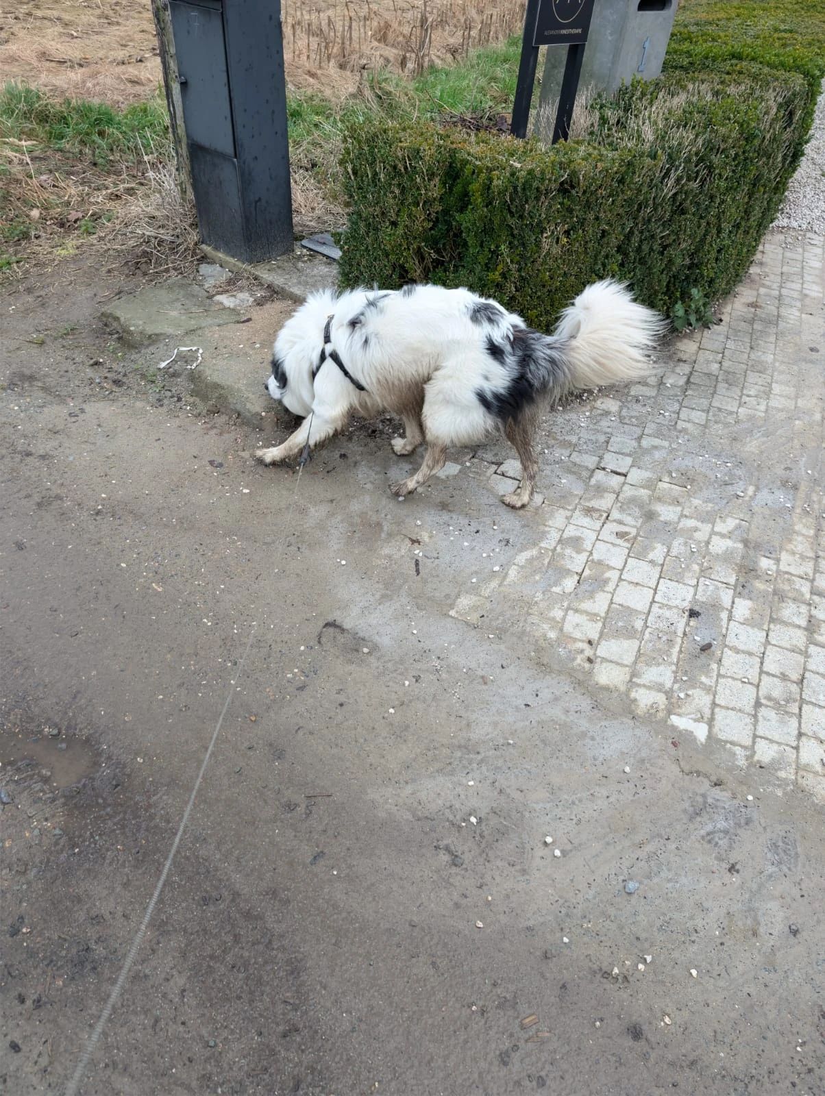 image-13