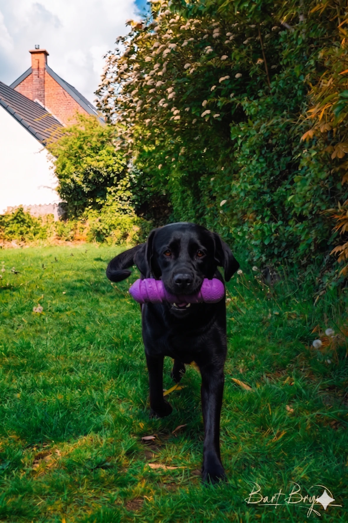 image-26